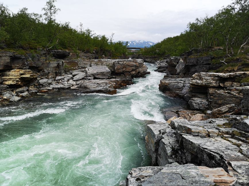 Vibrant rapids flowing through rocky terrain in Abisko National Park, Sweden.