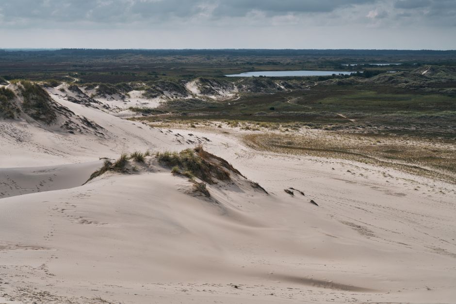 Captivating view of sand dunes and landscape at Skagen, Denmark, under a cloudy sky.