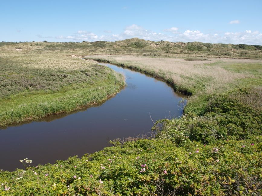 A tranquil Danish landscape featuring a meandering river through lush greenery under a clear blue sky.